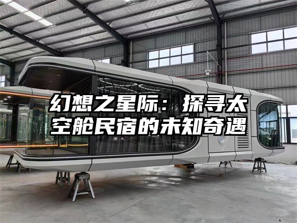 幻想之星际：探寻太空舱民宿的未知奇遇