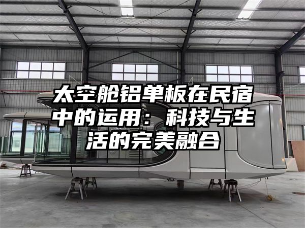 太空舱铝单板在民宿中的运用：科技与生活的完美融合