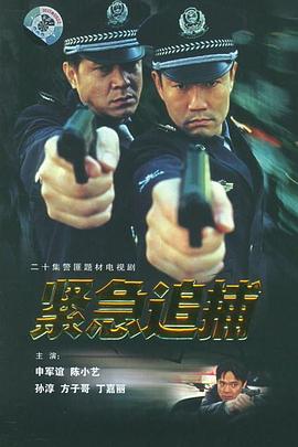 紧急追捕第06集