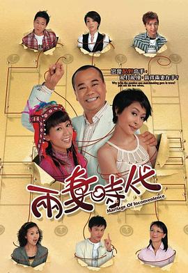 两妻时代国语第19集
