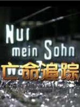 亡命追踪HD中字