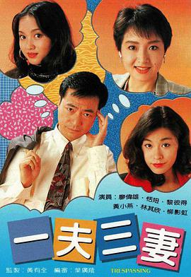 一夫三妻粤语第01集