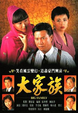 大家族粤语第25集