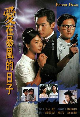爱在暴风的日子国语第02集