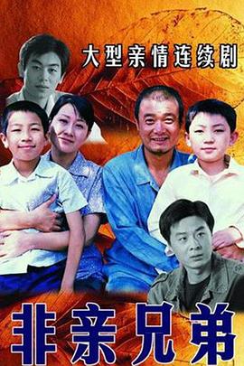 非亲兄弟第03集