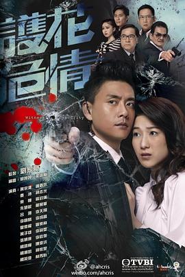护花危情粤语第09集