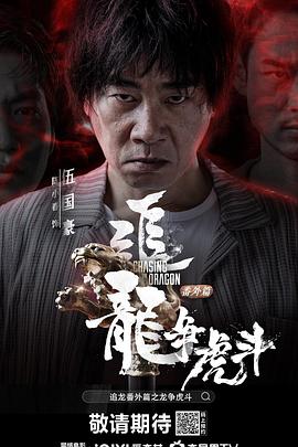 追龙番外篇之龙争虎斗HD国语