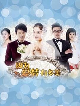 因为爱情有多美DVD版第39集
