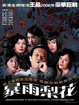 暴雨梨花第05集