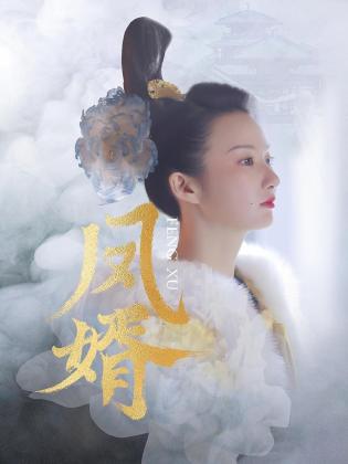 凤婿第06集
