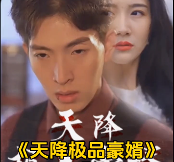 天降极品豪婿第158集