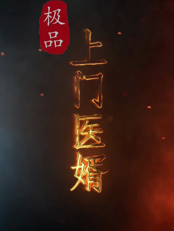 极品上门医婿第97集