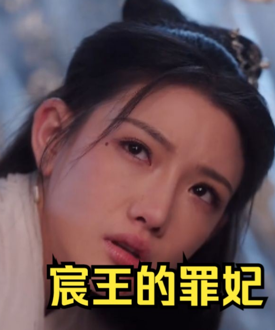 宸王的罪妃第01集