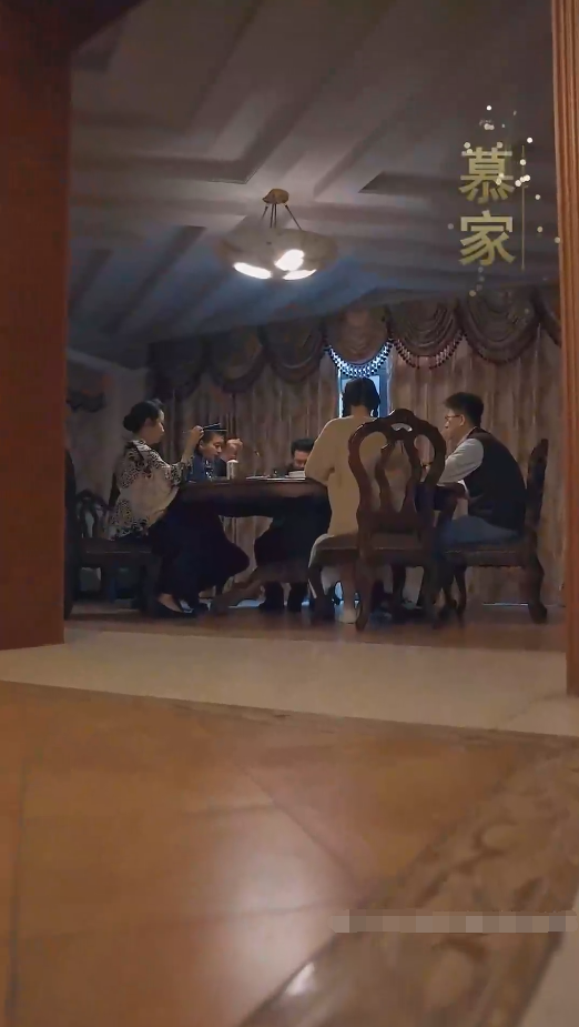 我成了段总的腹黑女保镖第48集