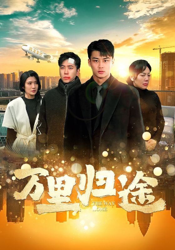 万里归途 短剧版第46集