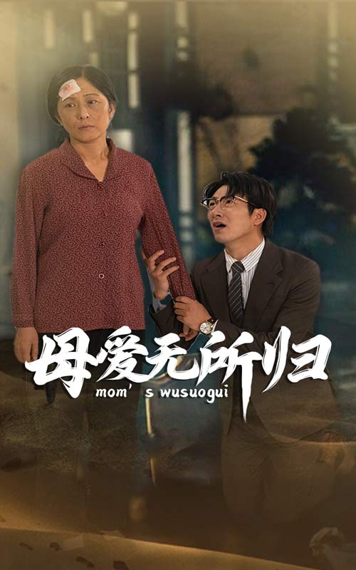 母爱无所归第01集