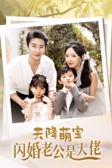 天降萌宝闪婚老公是大佬第43集