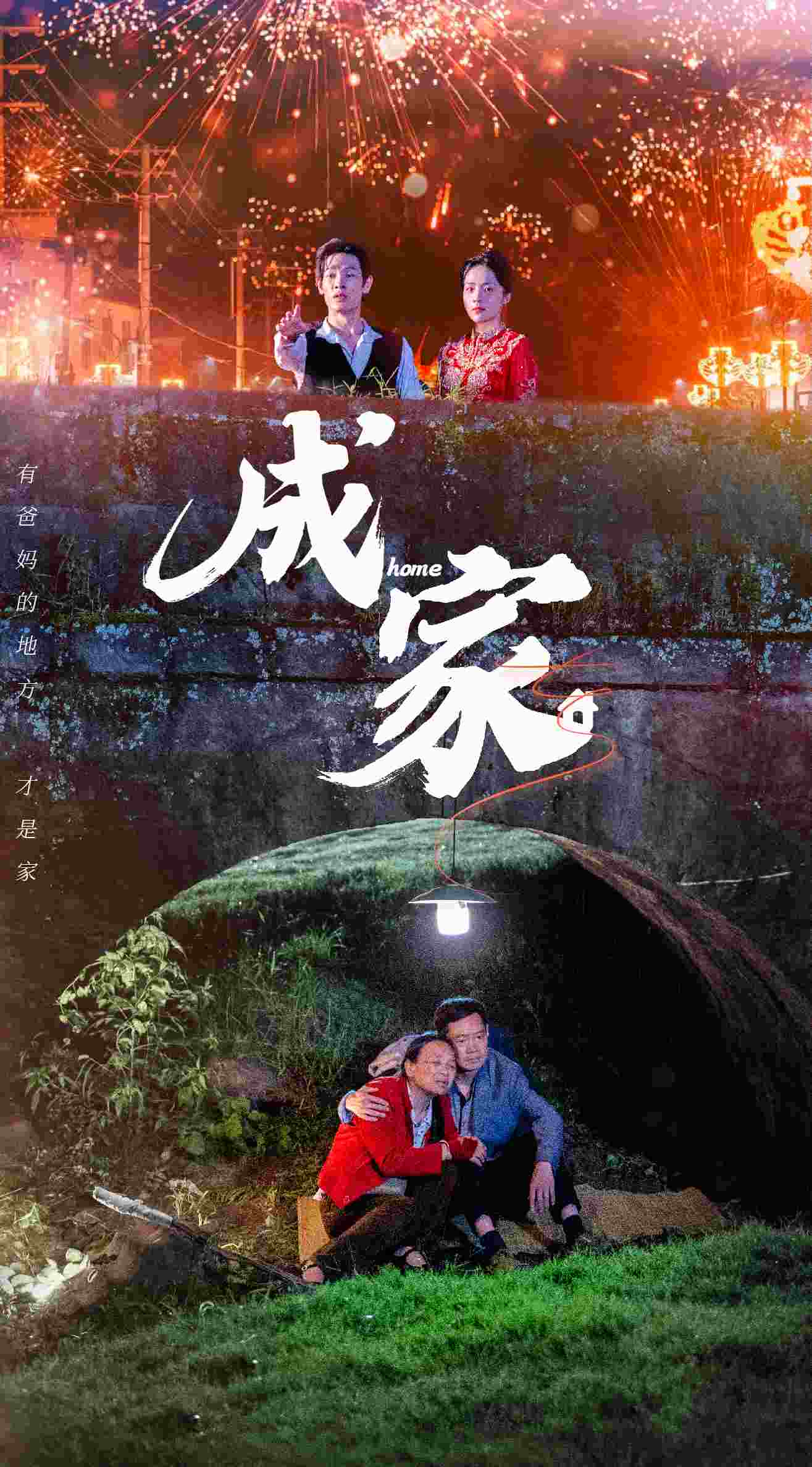 成家第09集