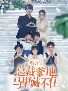 一胎五宝总裁爹地马甲藏不住第27集