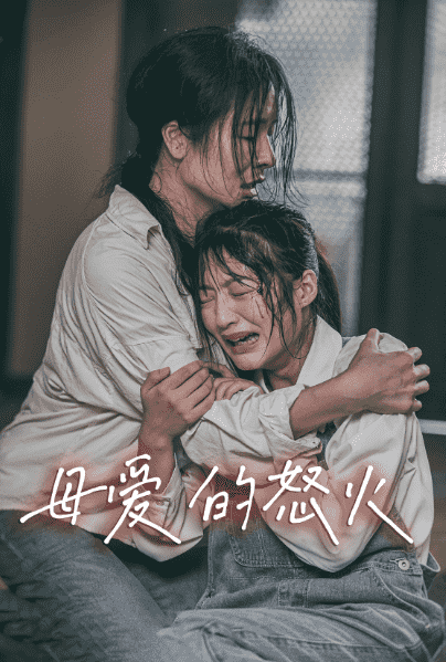 母爱的怒火第28集(大结局)