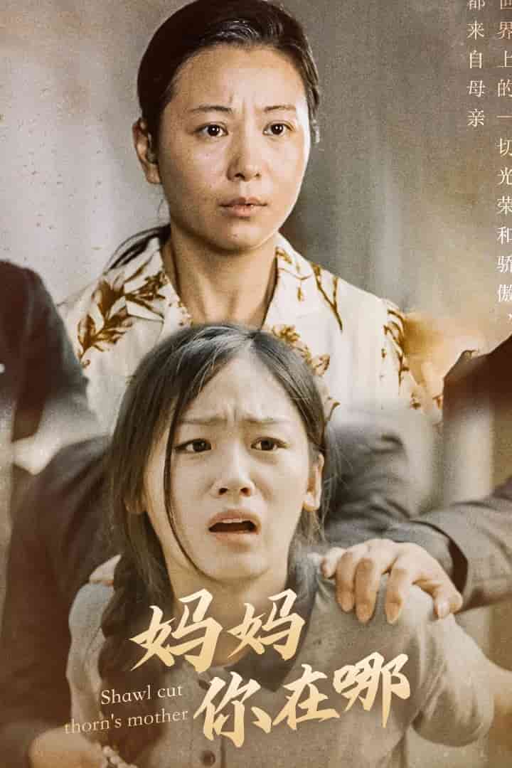 妈妈你在哪第24集