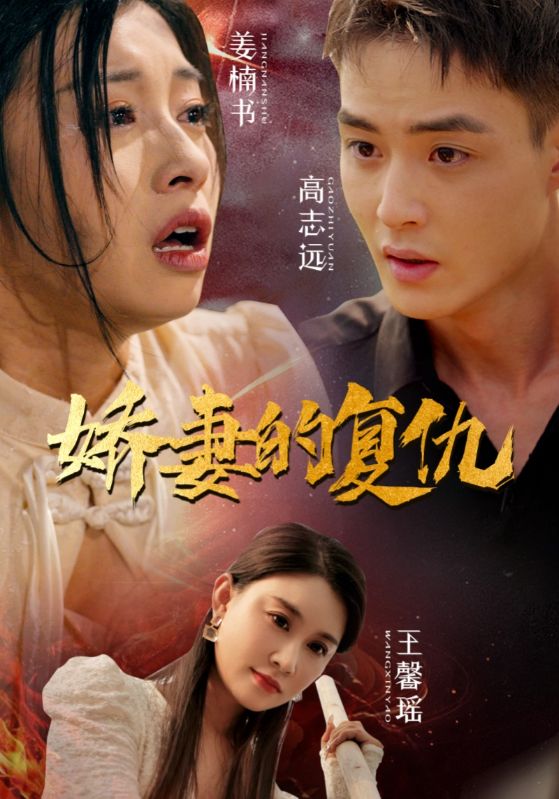 娇妻的复仇第19集