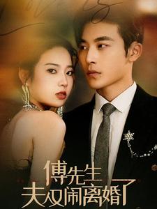 傅先生夫人又闹离婚了第45集