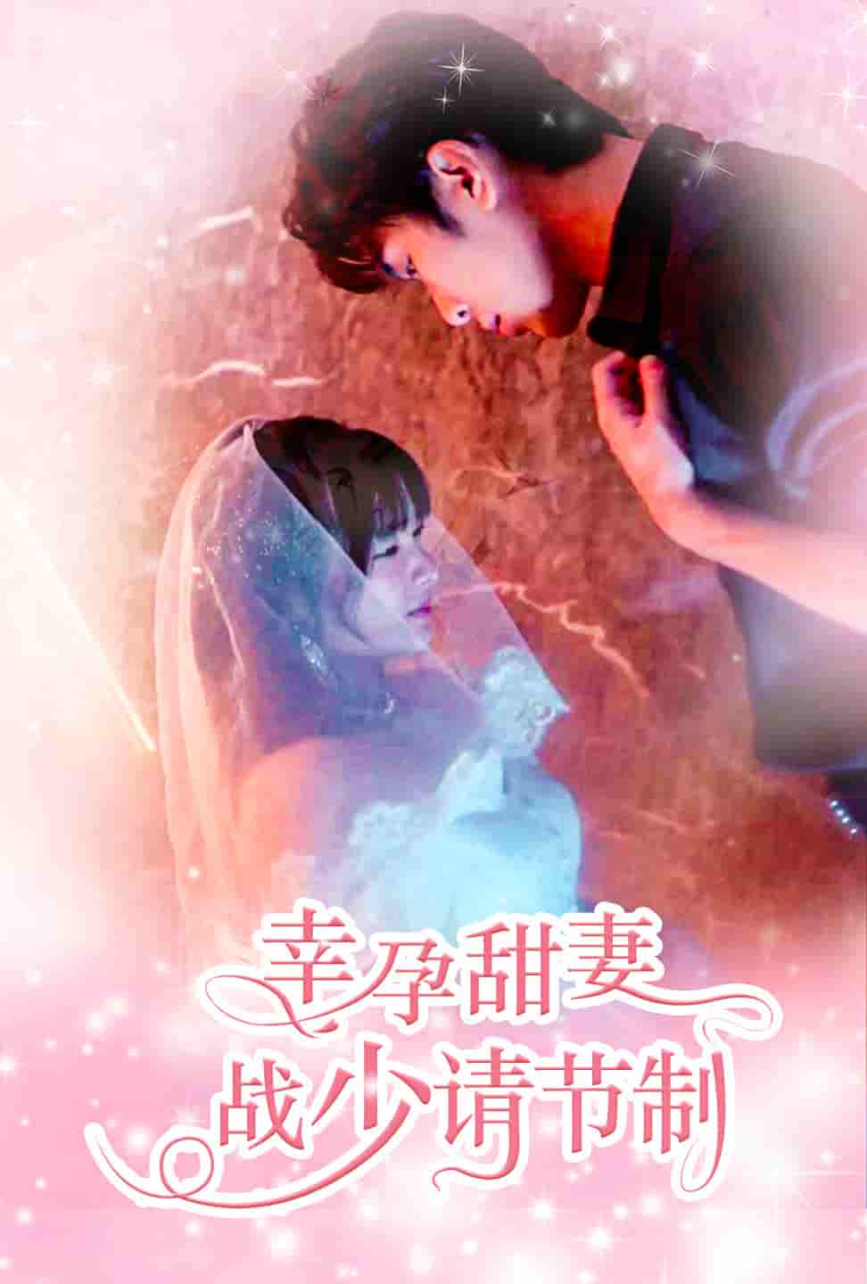 幸孕甜妻战少请节制第01集