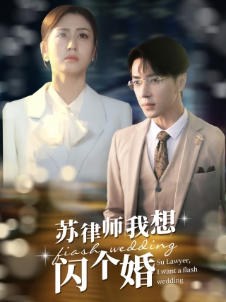 苏律师我想闪个婚第41集