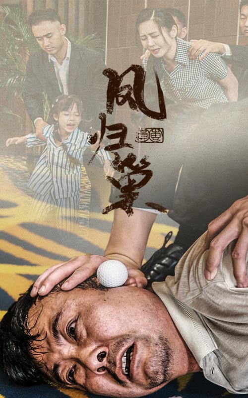 新版：凤归巢第41集
