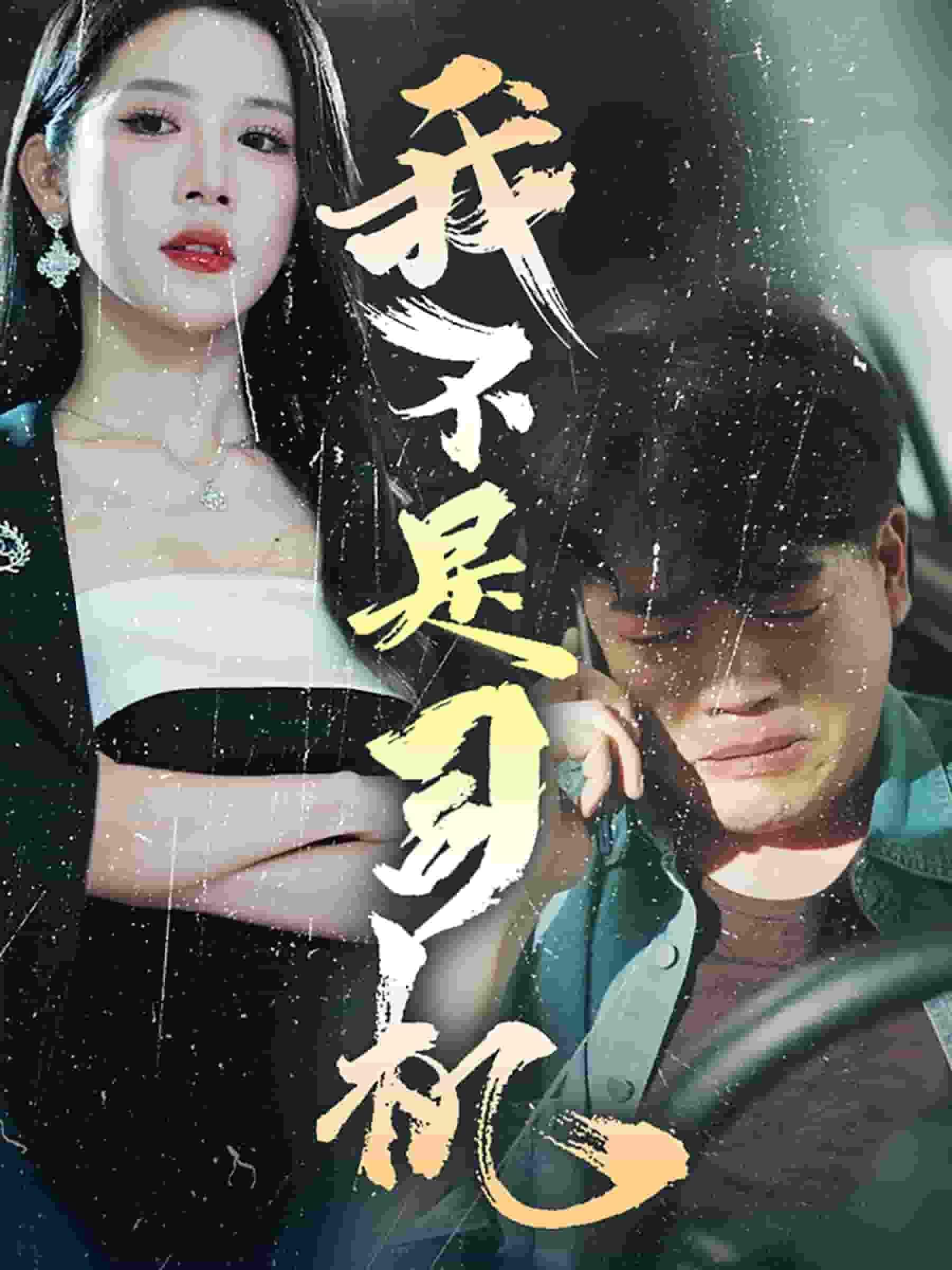 我不是司机第46集