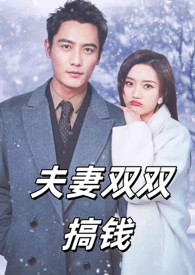 夫妻双双搞钱第28集