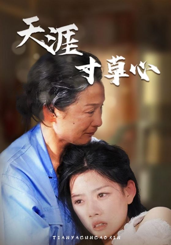 天涯寸草心第39集