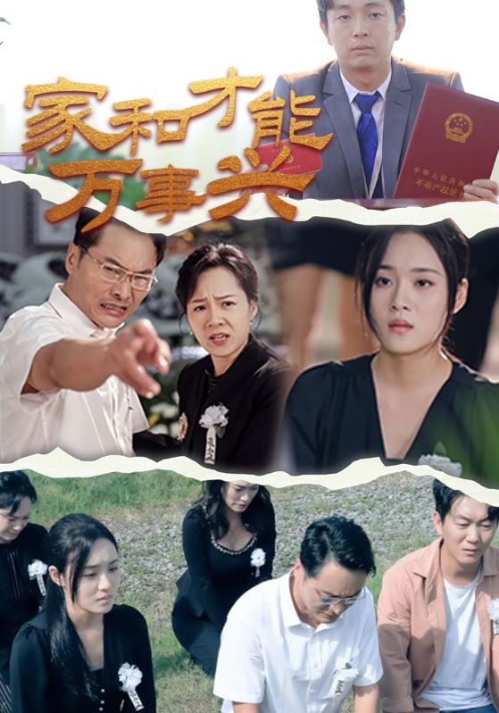 家和才能万事兴第19集