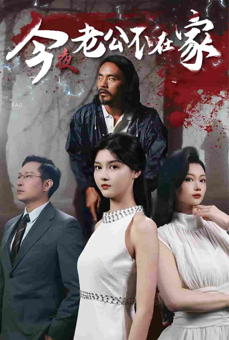 今夜老公不在家第02集