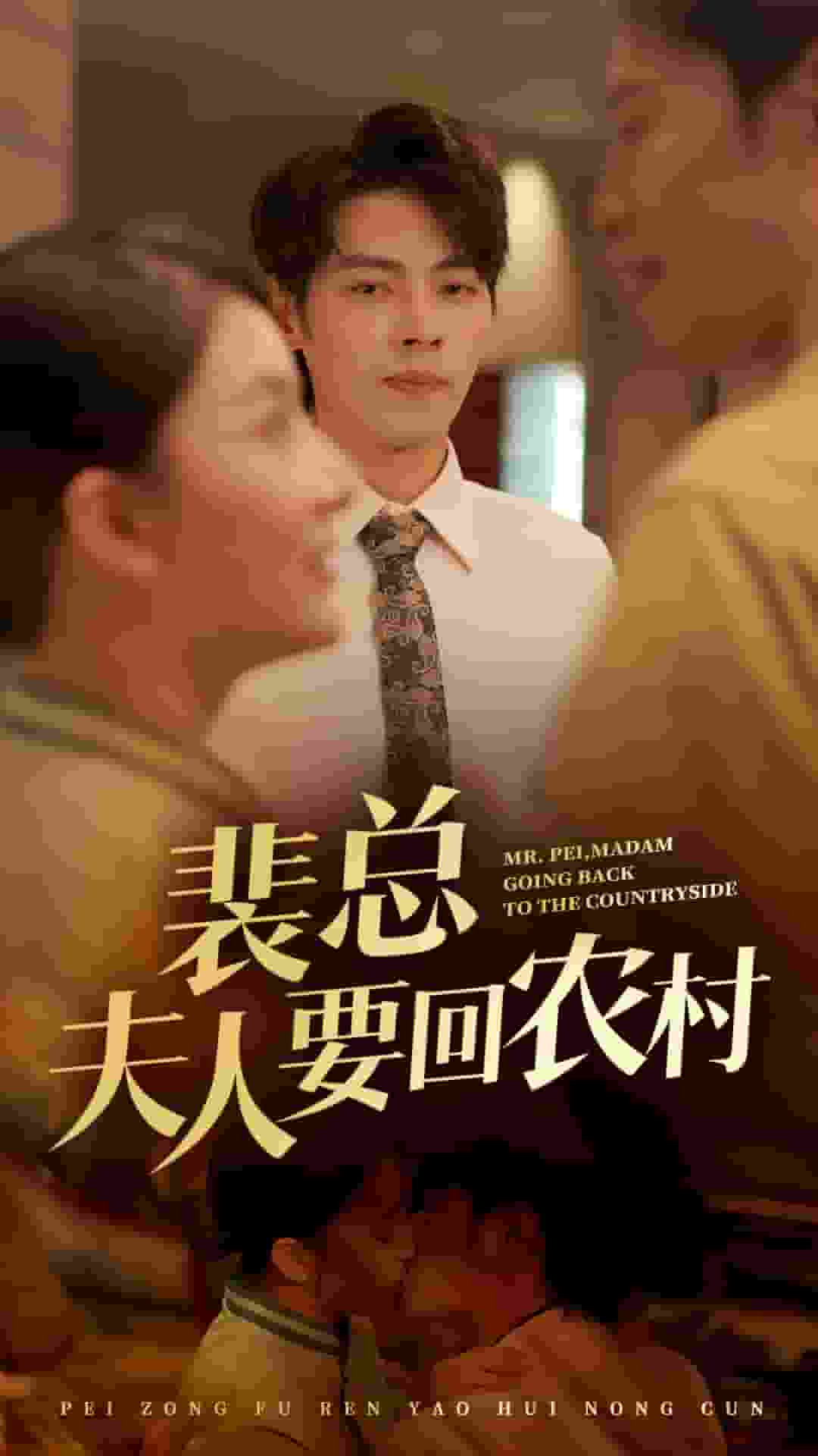 裴总夫人要回农村第09集