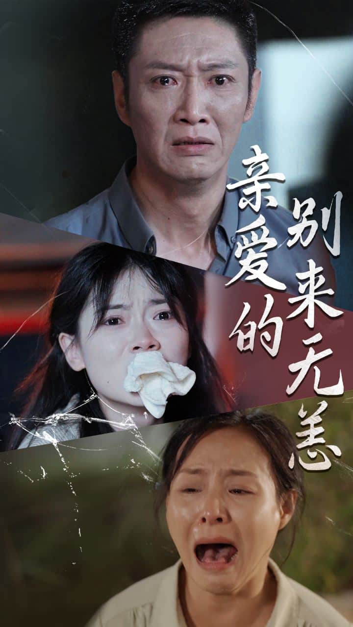 亲爱的别来无恙第33集