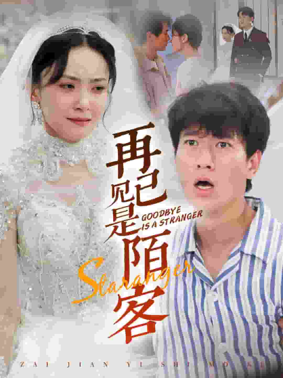 再见已是陌客第09集