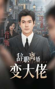 辞职离婚变大佬第13集