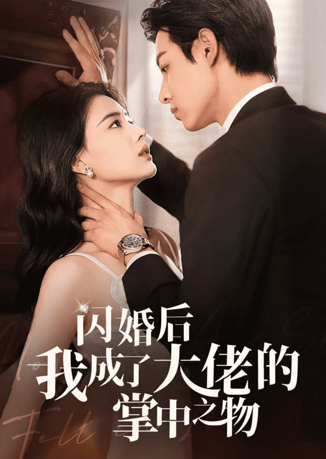 闪婚后我成了大佬的掌中之物第09集