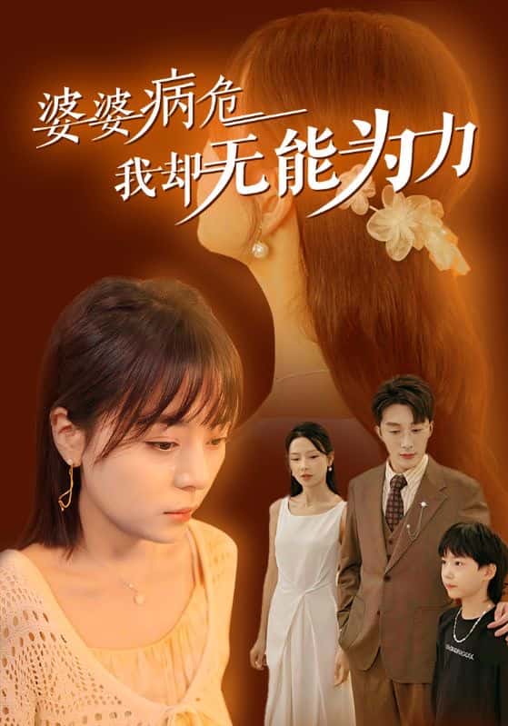 婆婆病危我却无能为力第05集