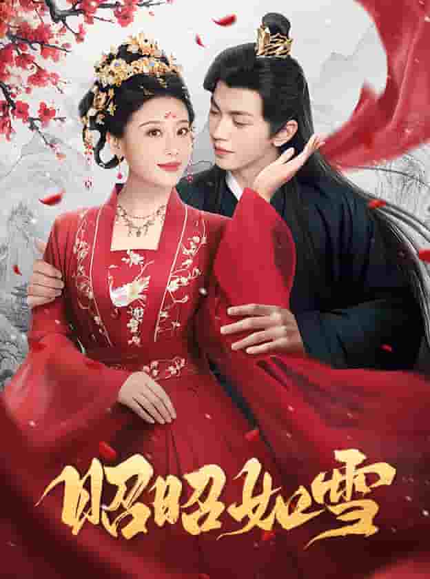 昭昭如雪第18集