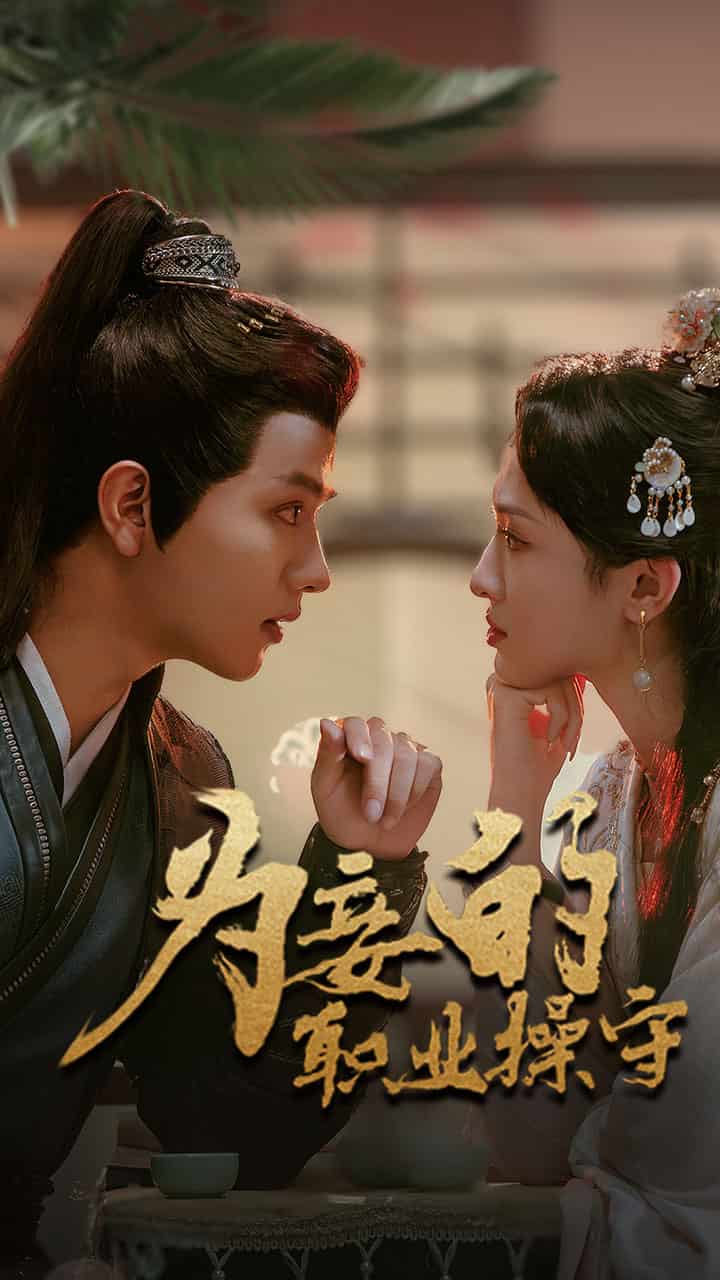为妾的职业操守第01集