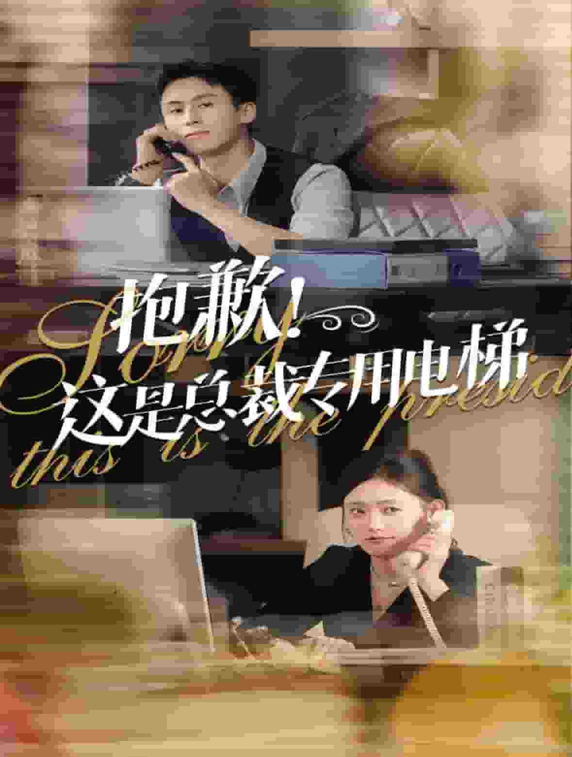 抱歉这是总裁专用电梯第41集
