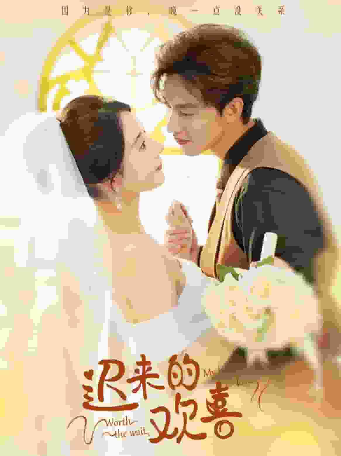 迟来的欢喜第01集