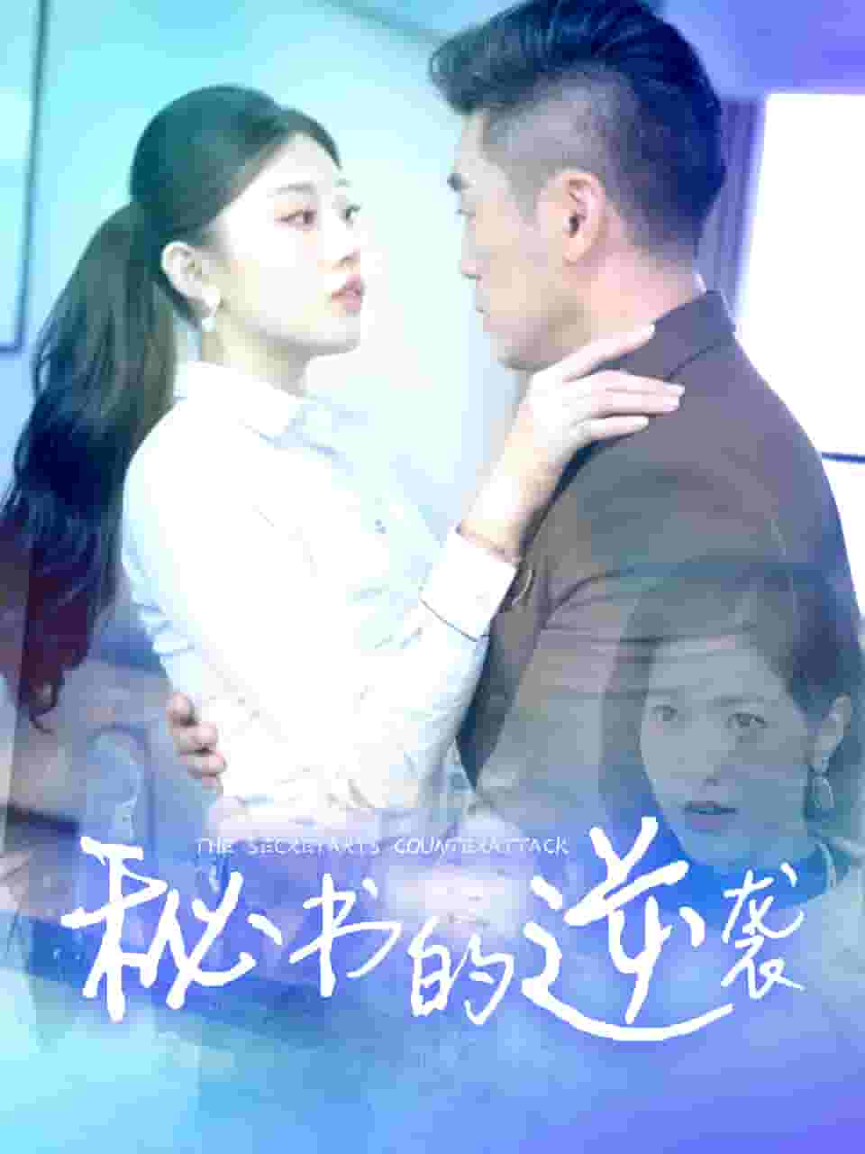 秘书的逆袭第01集