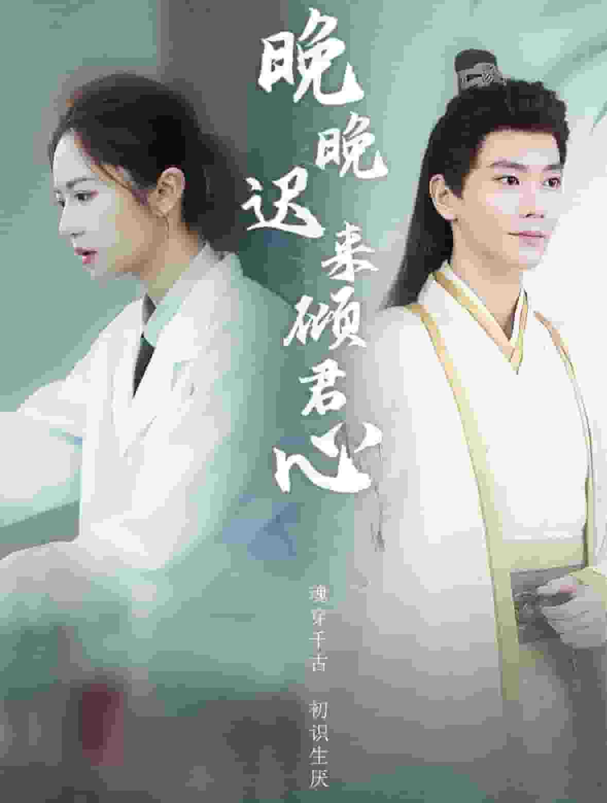 晚晚迟来倾君心第01集