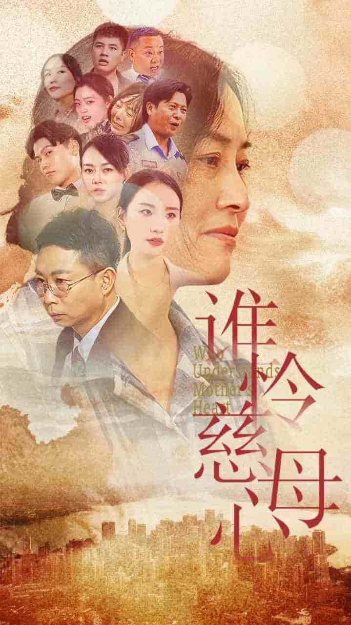 谁怜慈母心第39集