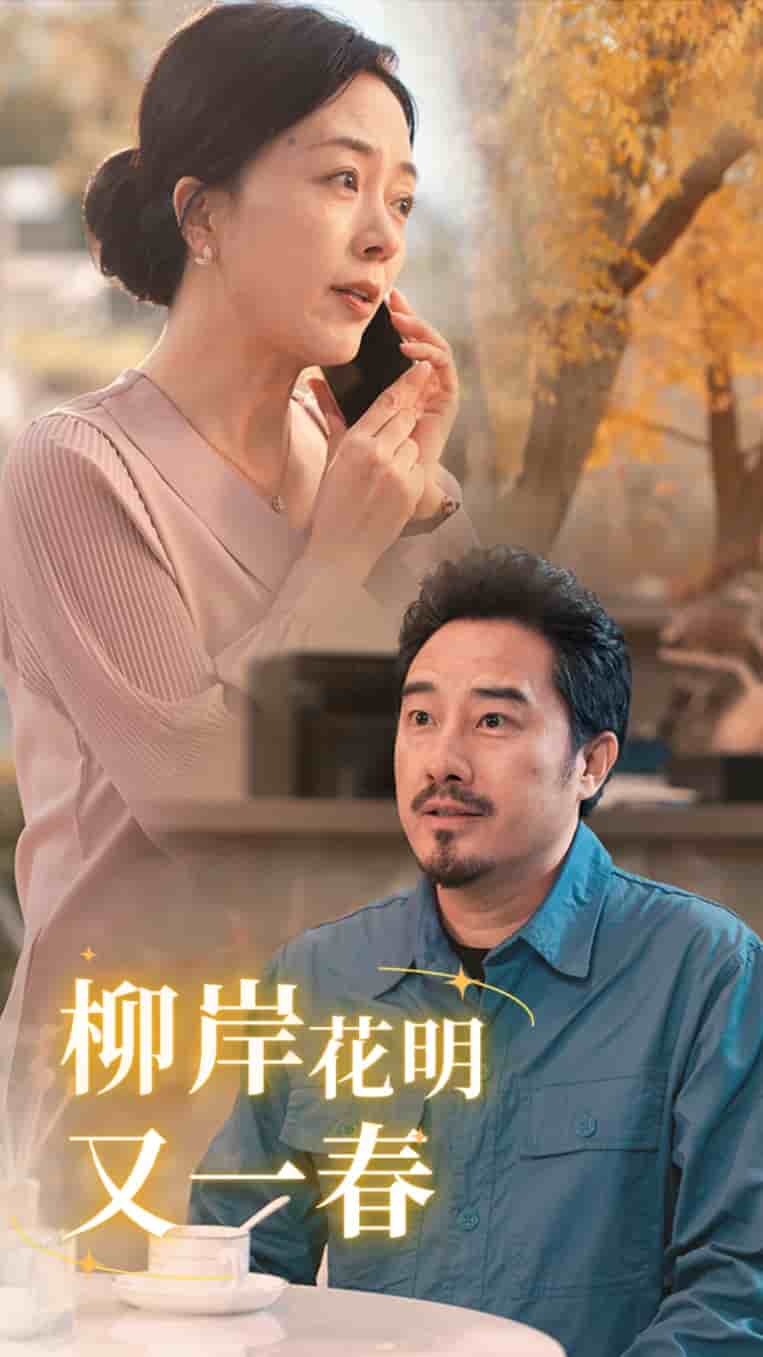 柳暗花明又一春第09集