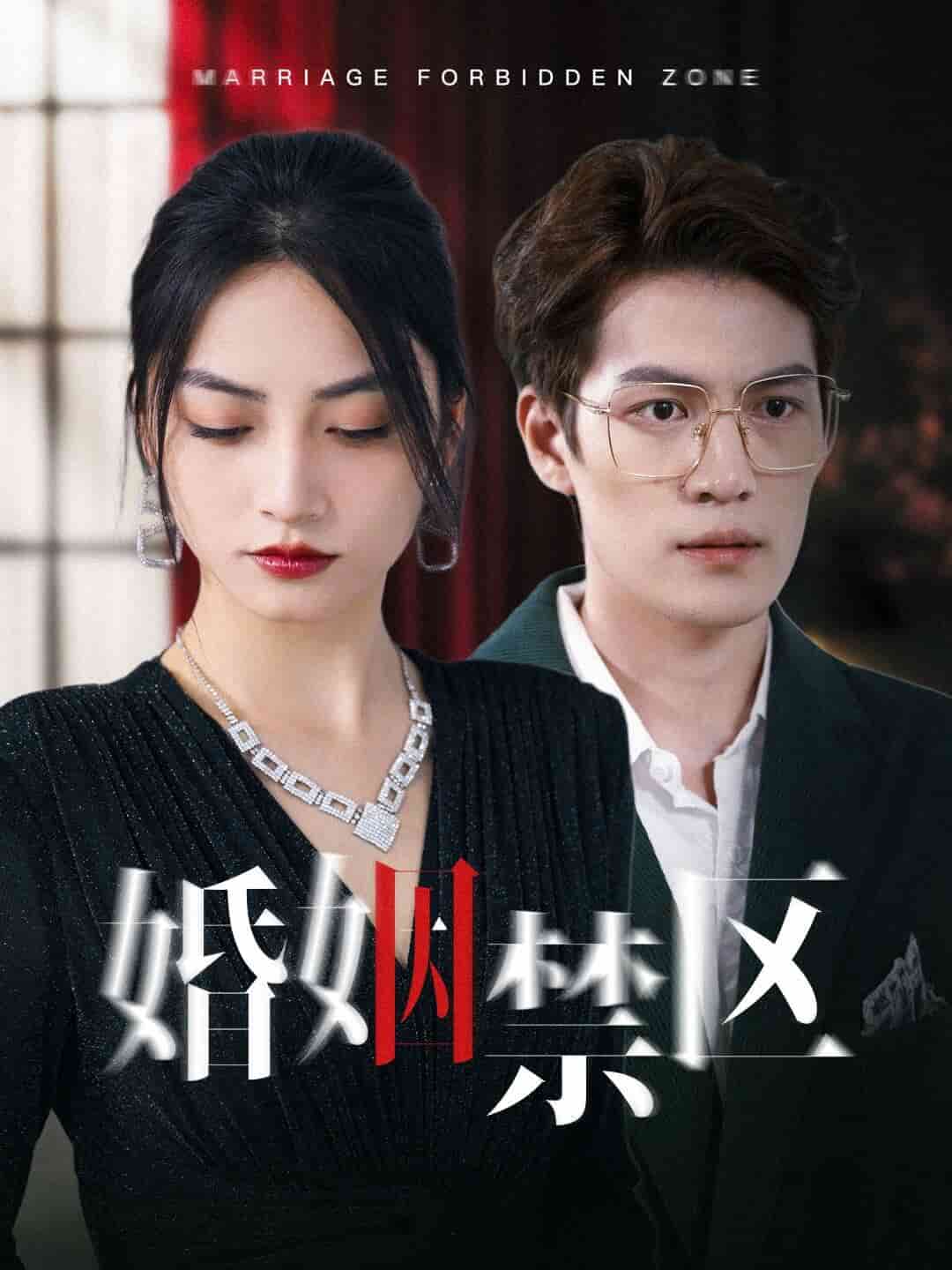 婚姻禁区第01集